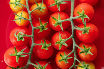 Fresh red cherry tomato on red background.