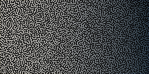 Gradient noise line abstract spread geometric background. Monochrome Turing reaction background. Abstract diffusion pattern with chaotic shapes. Vector illustration	