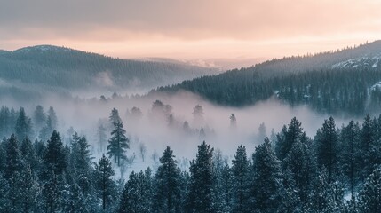 Fototapeta premium Snowy mountain landscape at sunrise with mist enveloping evergreen trees and valley scenery