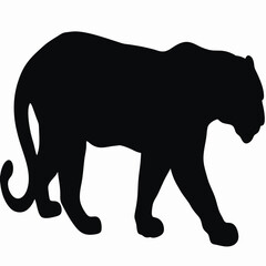 Wild animal vector illustration of a black lion or panther silhouette, a powerful mammal and predator