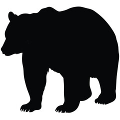 Bear Silhouette Graphic – Wilderness Animal Vector Art