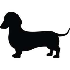 Cute cartoon vector illustration features a happy brown and white beagle dog, a black cat, and a dachshund puppy, isolated as pet animal drawings