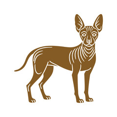 Xoloitzcuintli Dog Hairless pre-Hispanic dog in profile, sleek body and perked ears - Xoloitzcuintli Dog Profile, Hairless Breed