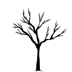 Obraz premium Dry tree line art