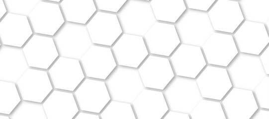 Abstract background with white color hexagons and seamless pattern vector design . luxury white pattern geometric mesh cell texture .honeycomb 3d background texture design .