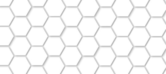 Abstract background with white color hexagons and seamless pattern vector design . luxury white pattern geometric mesh cell texture .honeycomb 3d background texture design .