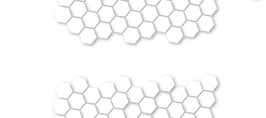 Abstract background with white color hexagons and seamless pattern vector design . luxury white pattern geometric mesh cell texture .honeycomb 3d background texture design .