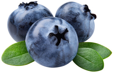 Blueberry isolated png. Blueberry with leaves on white or transparent background. Perfect retouched three blueberries with leaf no background. Png blueberry. Full depth of field.