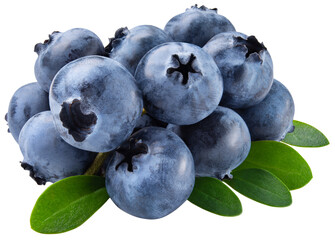 Blueberry isolated png. Blueberry heap with leaves on white or transparent background. Perfect retouched blueberry no background. Png blueberries top view composition. Full depth of field.
