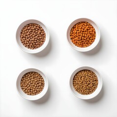 Four Bowls of Different Colored Pet Food