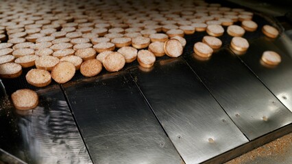 Melba toasts falling from conveyor belt montage