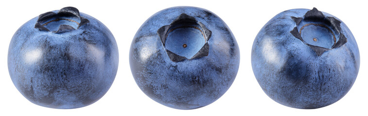 Blueberry isolated png. Blueberry on white or transparent background. Perfect retouched blueberry no background. Png blueberries collection. Full depth of field.