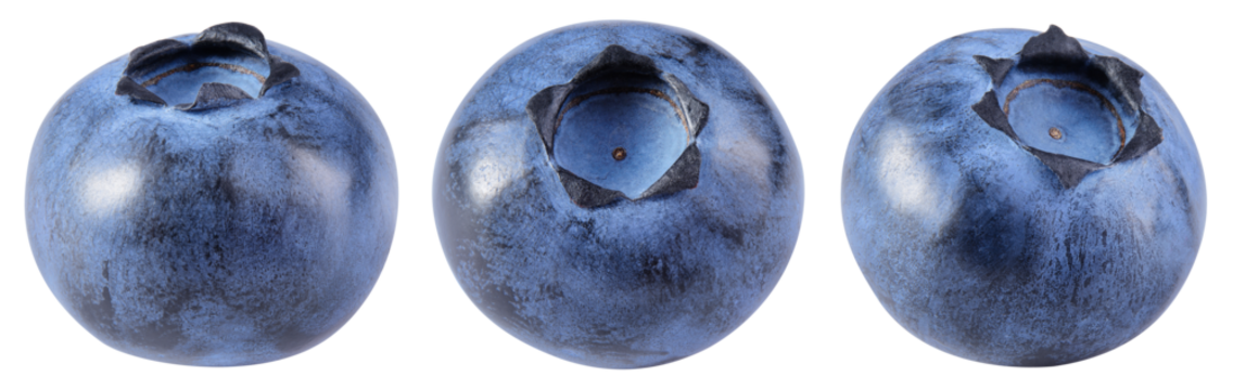 Blueberry isolated png. Blueberry on white or transparent background. Perfect retouched blueberry no background. Png blueberries collection. Full depth of field.