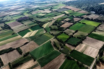 Aerial view of a patchwork agricultural landscape with geometric fields of green and brown crops interspersed with lines of trees.
