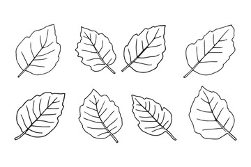 Jackfruit leaf line art