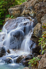 Fototapeta premium Wallpaper, rocks and waterfall in forest with plants for ecology, environment and conservation in Hawaii. River, nature and ecosystem for sustainability, biodiversity and rainforest for restoration
