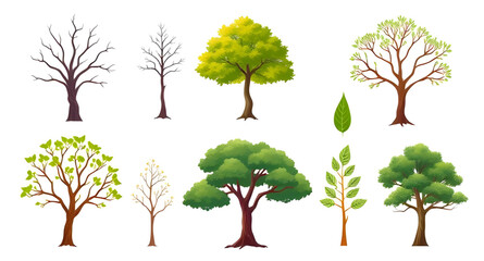 Fototapeta premium vector set of trees