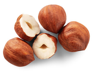 Hazelnut isolated png. Peeled hazelnut top view on transparent background. Forest filbert nut no...