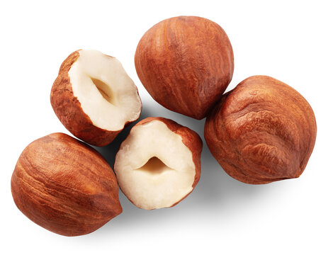 Hazelnut isolated png. Peeled hazelnut top view on transparent background. Forest filbert nut no background. Hazelnut transparent png flat lay composition. Full depth of field.