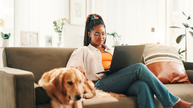 Education, laptop and relax with woman with dog on sofa in living room of home for browsing or study. Computer, happy or learning with labrador and pet owner in apartment for bonding or development