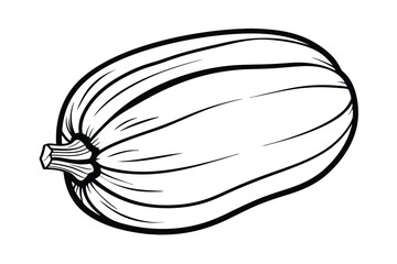 Black And White Spaghetti Squash Outlined Illustration For Coloring Pages And Line Art Projects Minimalist Design Of Vegetable