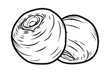 Two Fresh Turnips Hand Drawn Vegetable Illustration Outline In Black And White For Cookbook Designs And Vegetarian Recipes