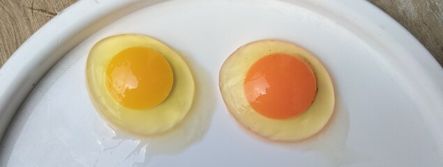 Comparison of two omega eggs with regular eggs