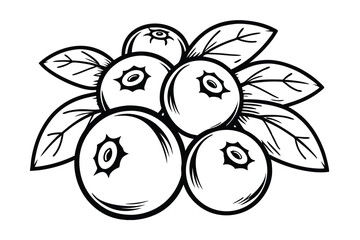 Detailed Line Art Of Fresh Blueberries With Leaves Perfect For Coloring Books Or Product Design