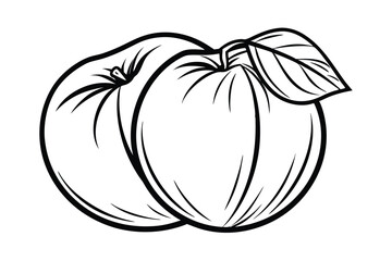 Two Ripe Apricots With Leaf Illustration In Black And White Detailed Outline Style For Coloring Pages