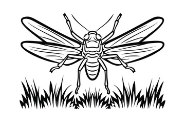 Grasshopper Illustration With Bold Outlines On Grass Vector Graphic For Coloring Pages Nature Theme Wildlife Art