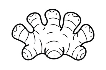 Ginger Root Outline Illustration Culinary Herb Spice Ingredient For Food Design And Healthy Recipes Minimalist Style