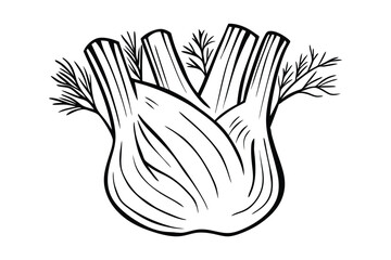 Fototapeta premium Fennel Bulb And Fronds Illustration Culinary Herb Outline Vector Black And White Drawing Fresh Vegetable Kitchen Art