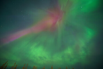 Dramatic pink and green aurora borealis dancing across the night sky in a spectacular natural display
