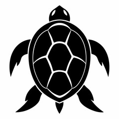 Obraz premium turtle vector illustration