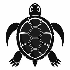 turtle vector illustration