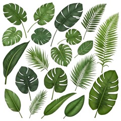 Tropical Leaves Collection