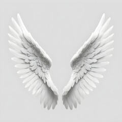 Obraz premium Pair of White Angel Wings
