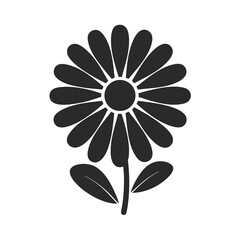 Fototapeta premium daisy flower icon silhouette vector illustration