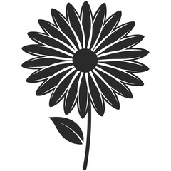 daisy flower silhouette vector illustration