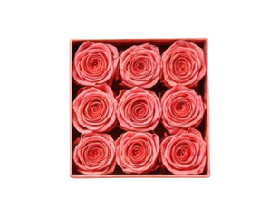 red roses in a box on white background, on transparent background png	