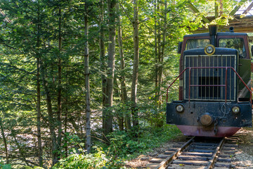 Carpathian tram. Steam locomotive on a narrow-gauge steel railway. Old transport in the forest nature