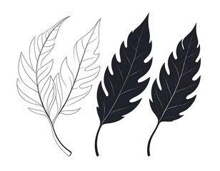 Obraz premium Elegant Tropical Leaves Line Art and Silhouette
