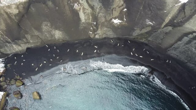 4k Video. Deception Island. Antarctica. Volcanic. Inactive volcano