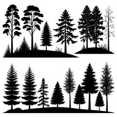 Obraz premium Black Silhouettes of Pine Trees and Evergreens