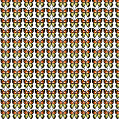 Butterfly Symmetry Patterns design