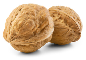 Walnut isolated png. Unpeeled walnut on white or transparent background. Perfect retouched two walnuts with shell no background. Side view nut. Full depth of field.