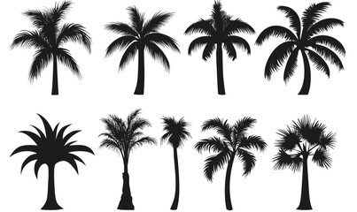 Tropical Palm Tree Silhouette Collection for Design and Decoration Projects