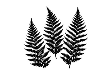 Garden Leaf Border Design Elements – Nature-Inspired Decorative Vector Set