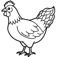 A white vector illustration depicts a funny farm animal, a hen and rooster, isolated poultry