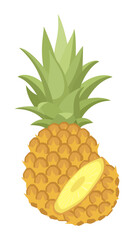 Vector isolated whole pineapple with half pineapple